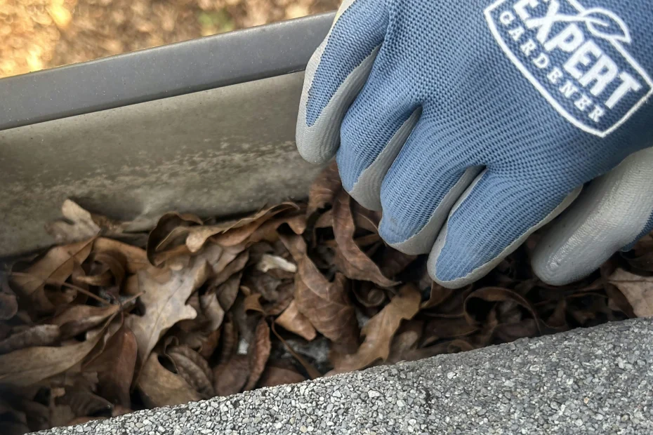 Gutter Cleaning Lexington VA