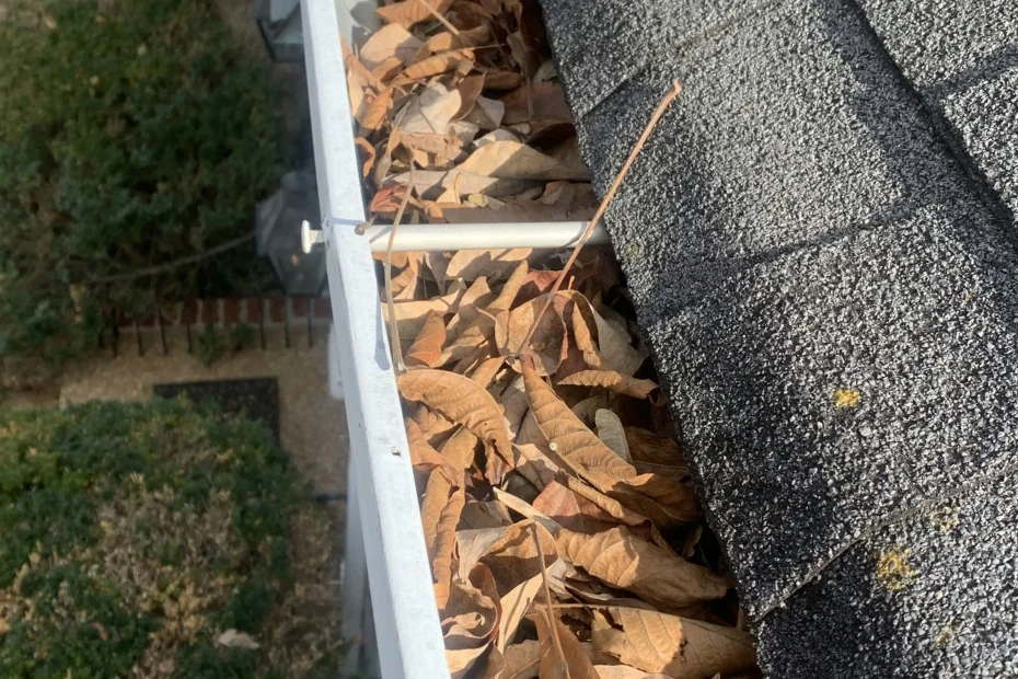 Gutter Cleaning Lexington VA