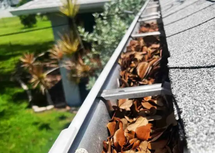 Gutter Cleaning Lexington VA home page